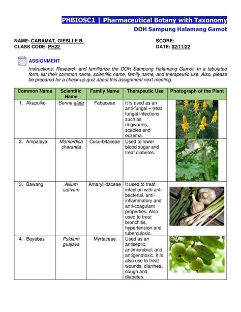 100 halamang gamot|10 Herbal Medicines Approved By DOH [Updates] .